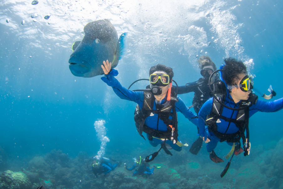 Diving at the Great Barrier Reef